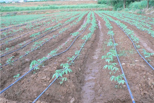 Irrigation system