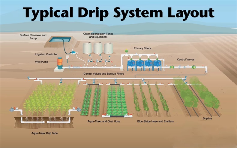 Drip Irrigation System Layout and Design