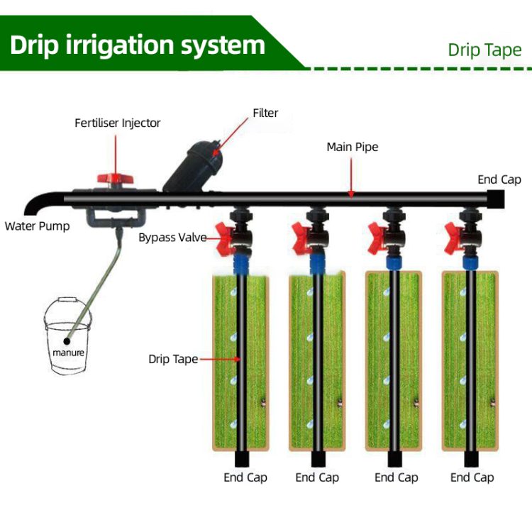 Drip tape irrigation system